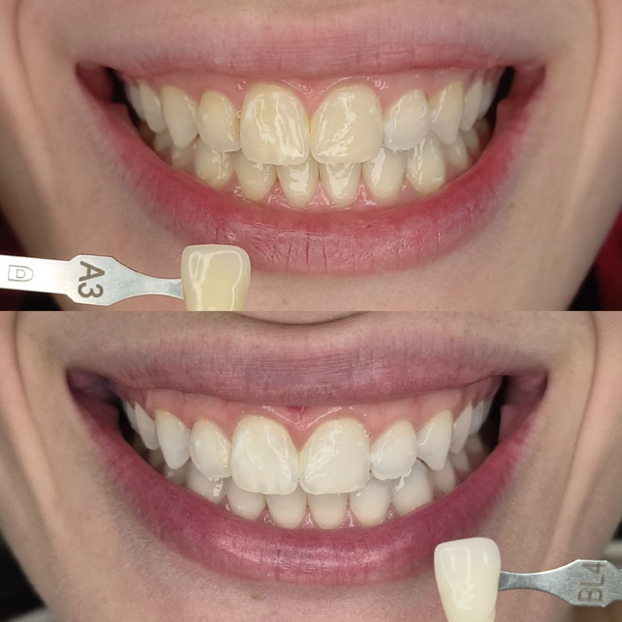 Camila De Loyola E Silva Avellar Fonseca-11