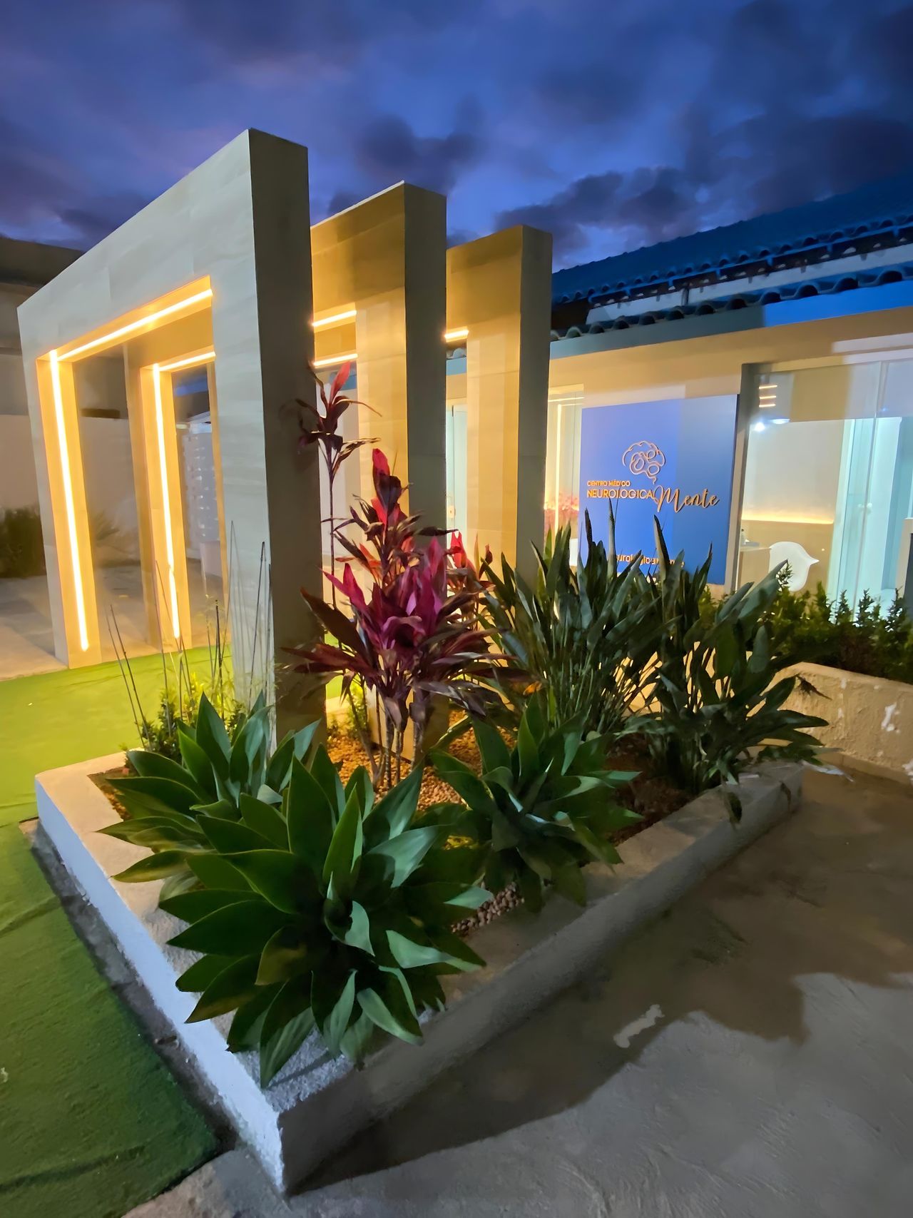 Christiane Cunha Queiroz Silva-4