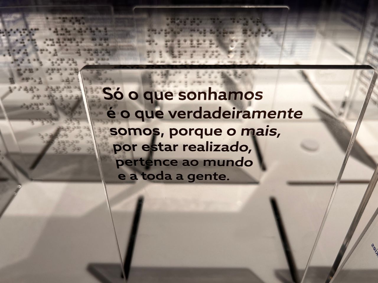 Paulo Fernandes Formighieri-0