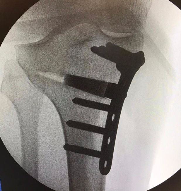 Dimitri Lovisaro Rumiantzeff-16