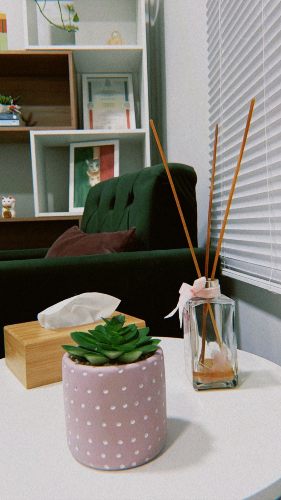 Luiza Christofoletti Vito-3