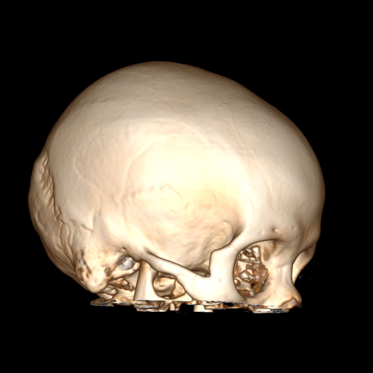 David Tafur Muñoz-1337