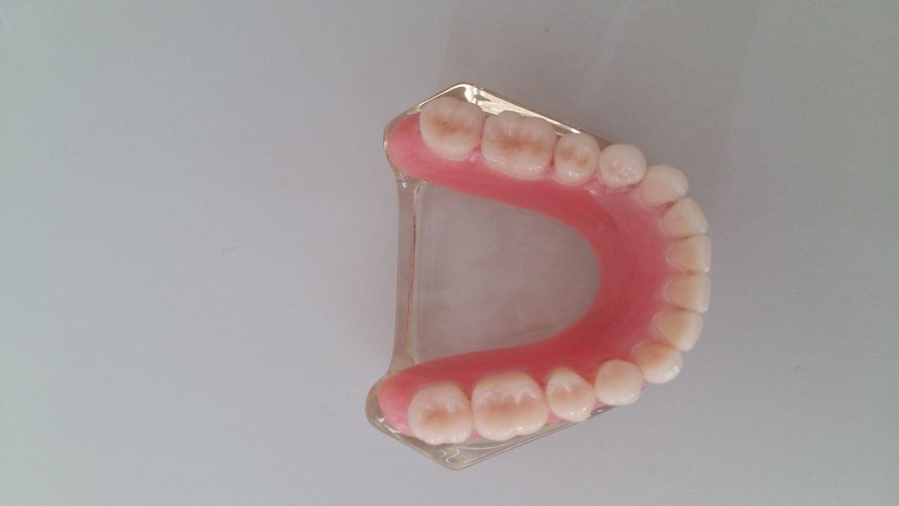 Patricia Christine Pinto-12