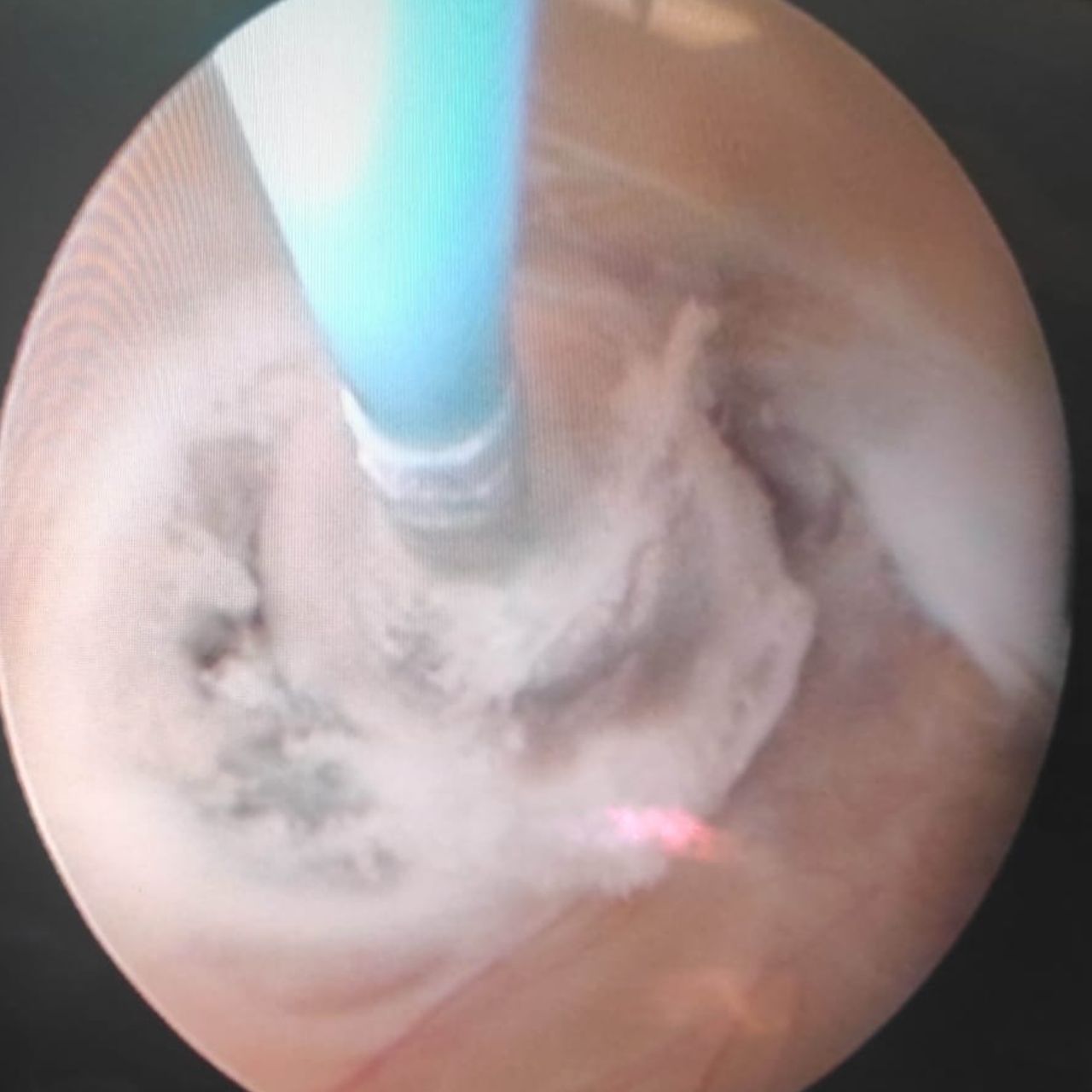 David Tafur Muñoz-1435