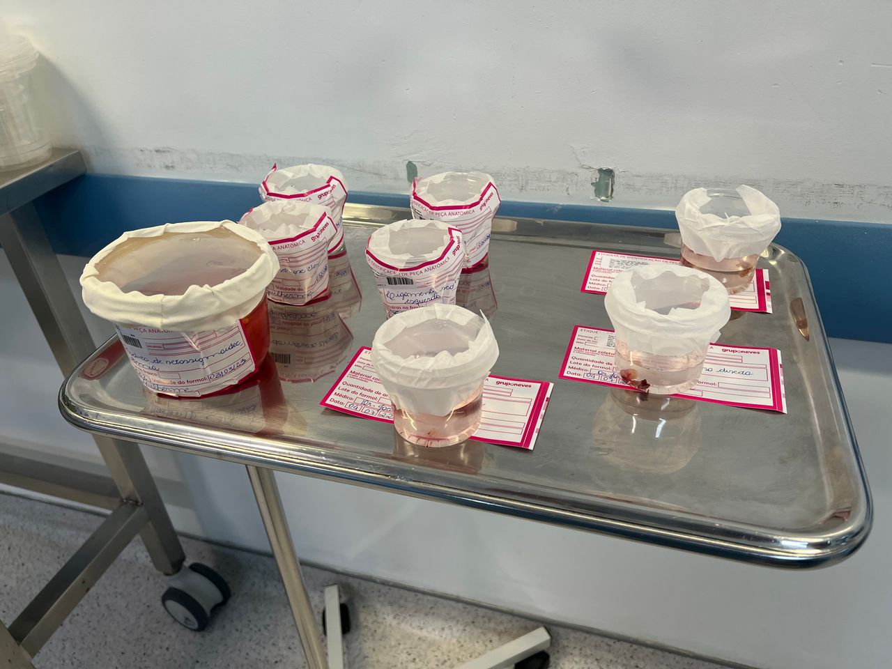 João Guilherme Pinto Vinagre-6