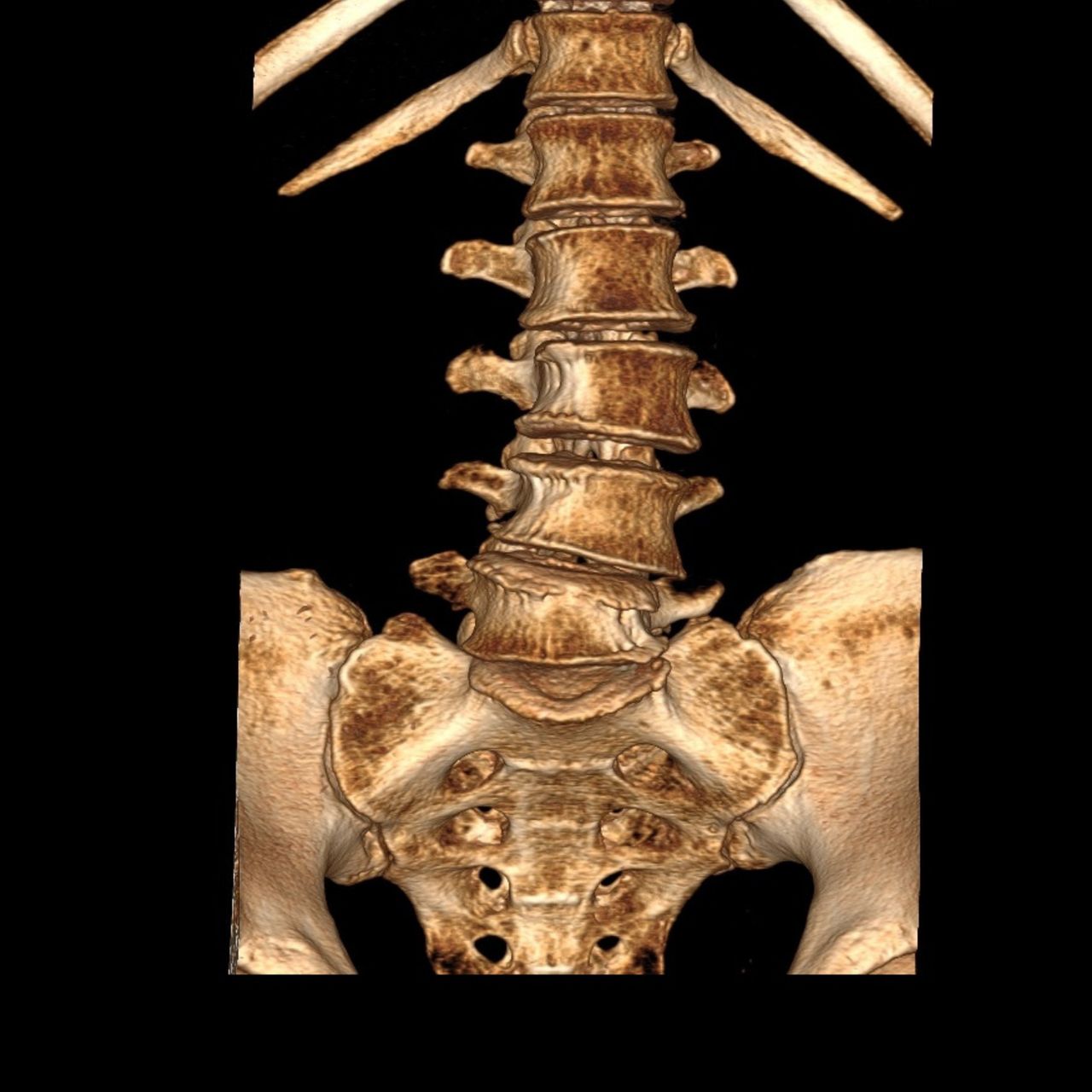 David Tafur Muñoz-1207