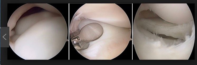 Dimitri Lovisaro Rumiantzeff-23