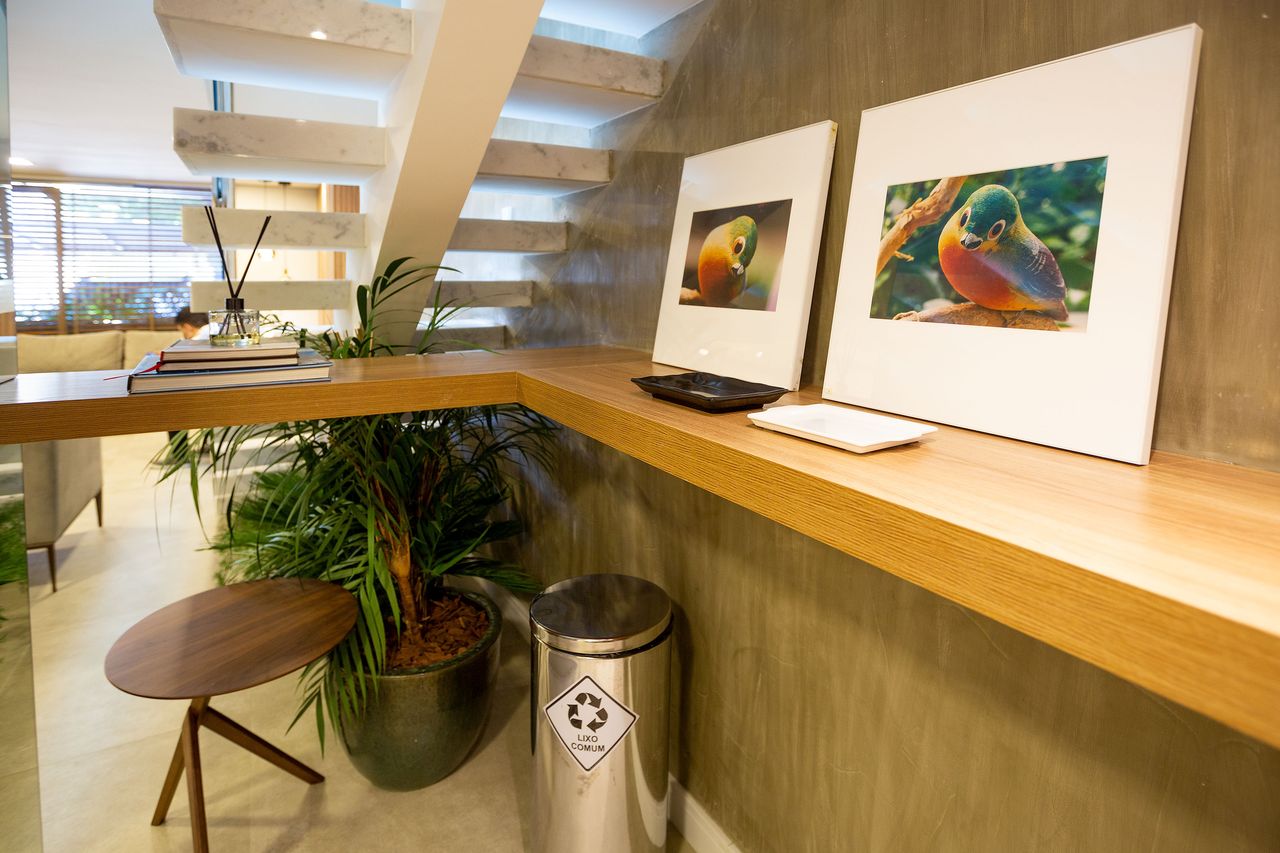 Alexandre Xavier Da Costa-6