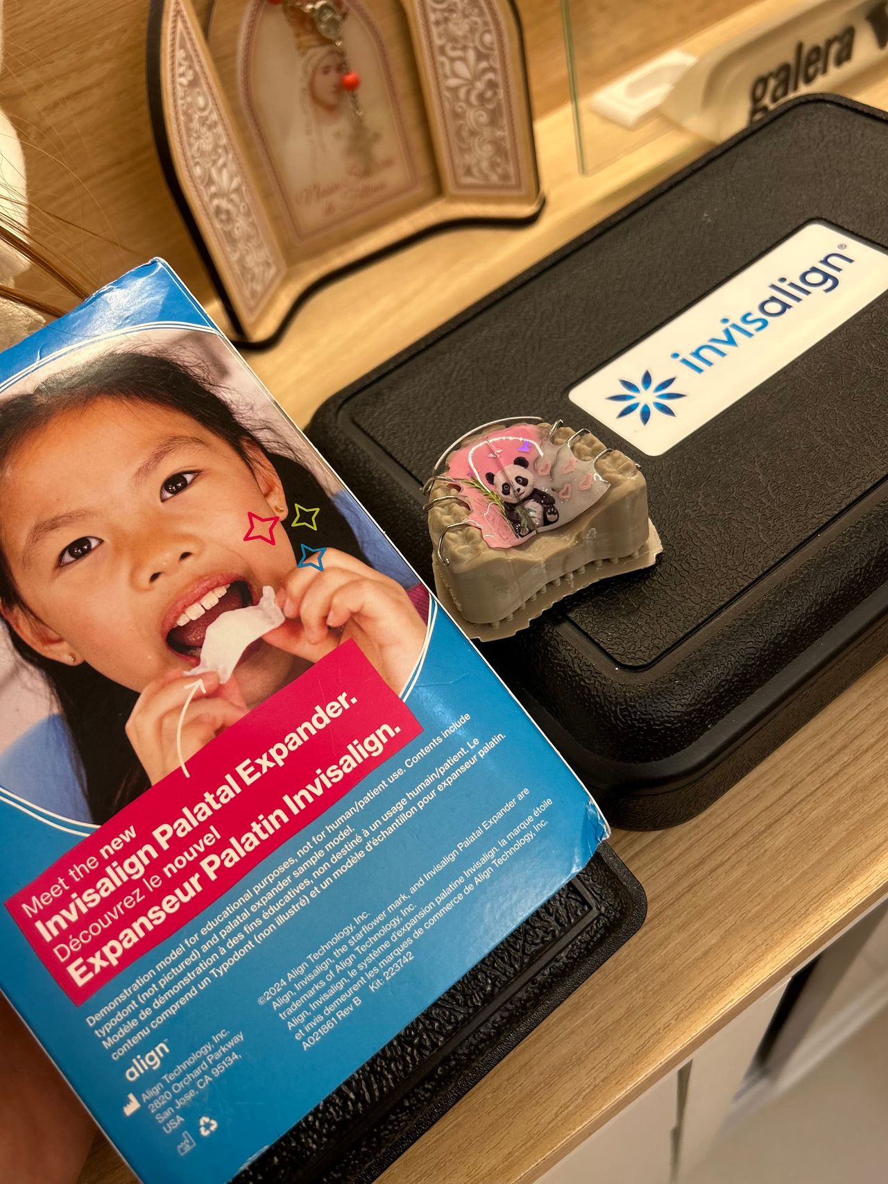 Anna Carolina Macedo-43