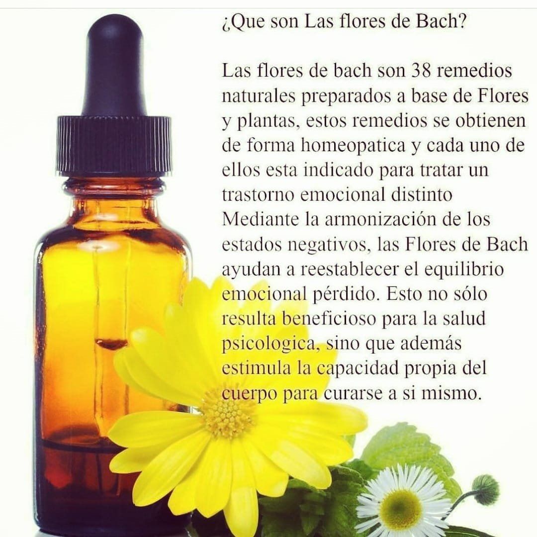 Fernanda Labbé Saelzer-11