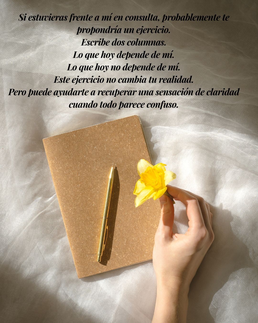 Mara Sofia Orozco Martelo-72