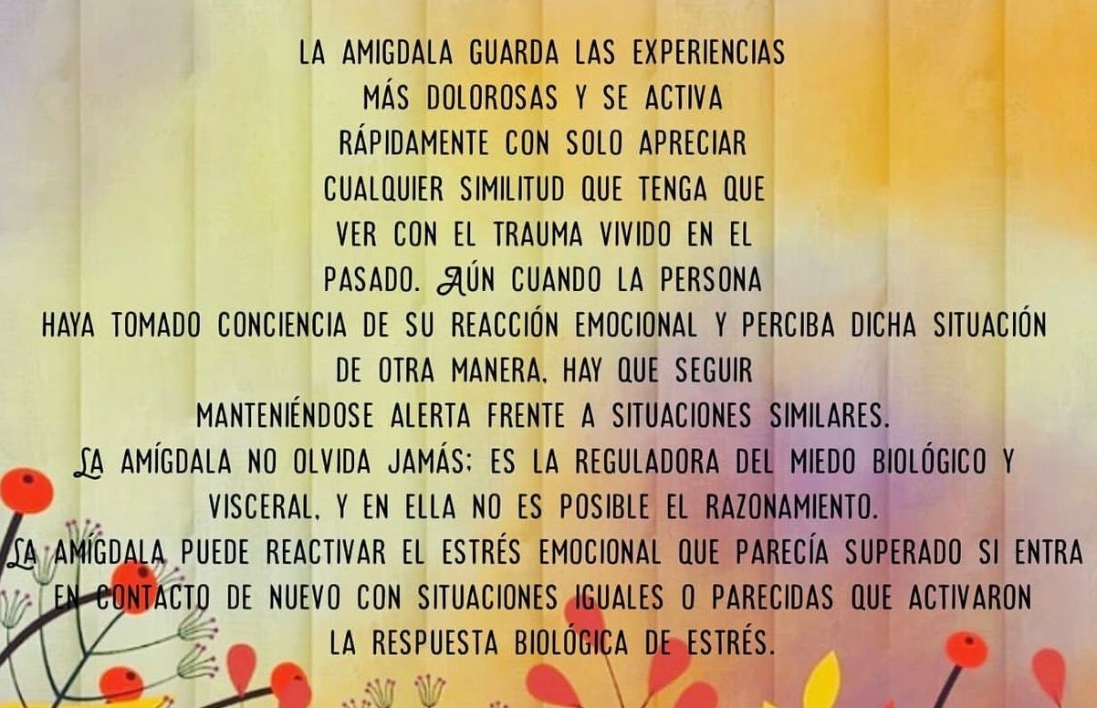 Juliana Velandia Borrero-5