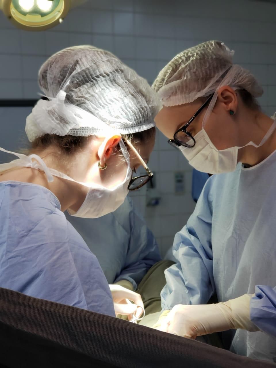 Diesica Nalena Prochnow-3