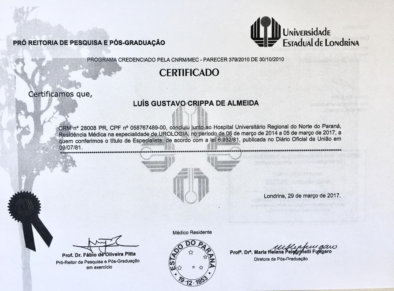 Luis Gustavo Crippa De Almeida-4