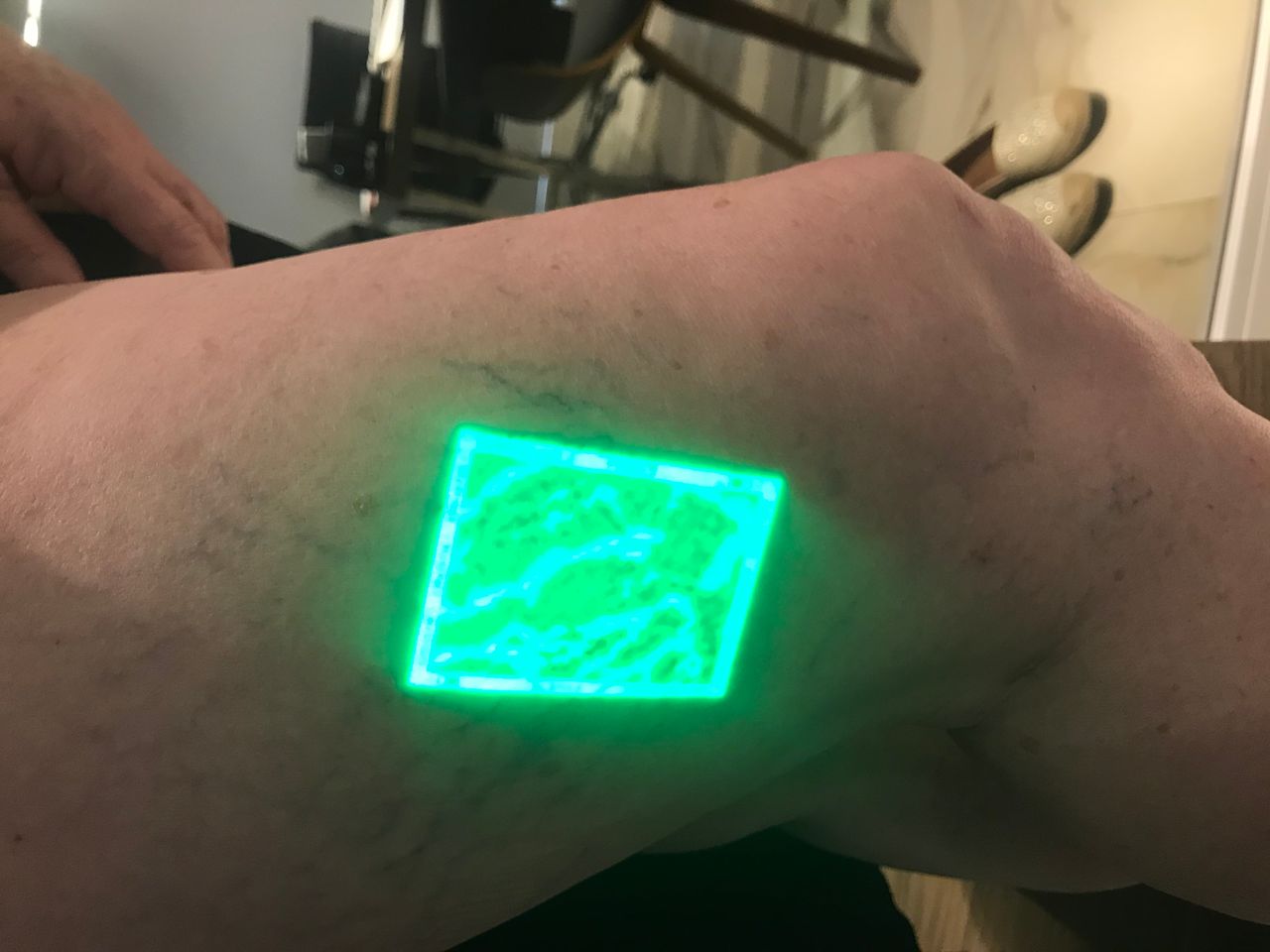 Monique Fernandes Da Silva-1