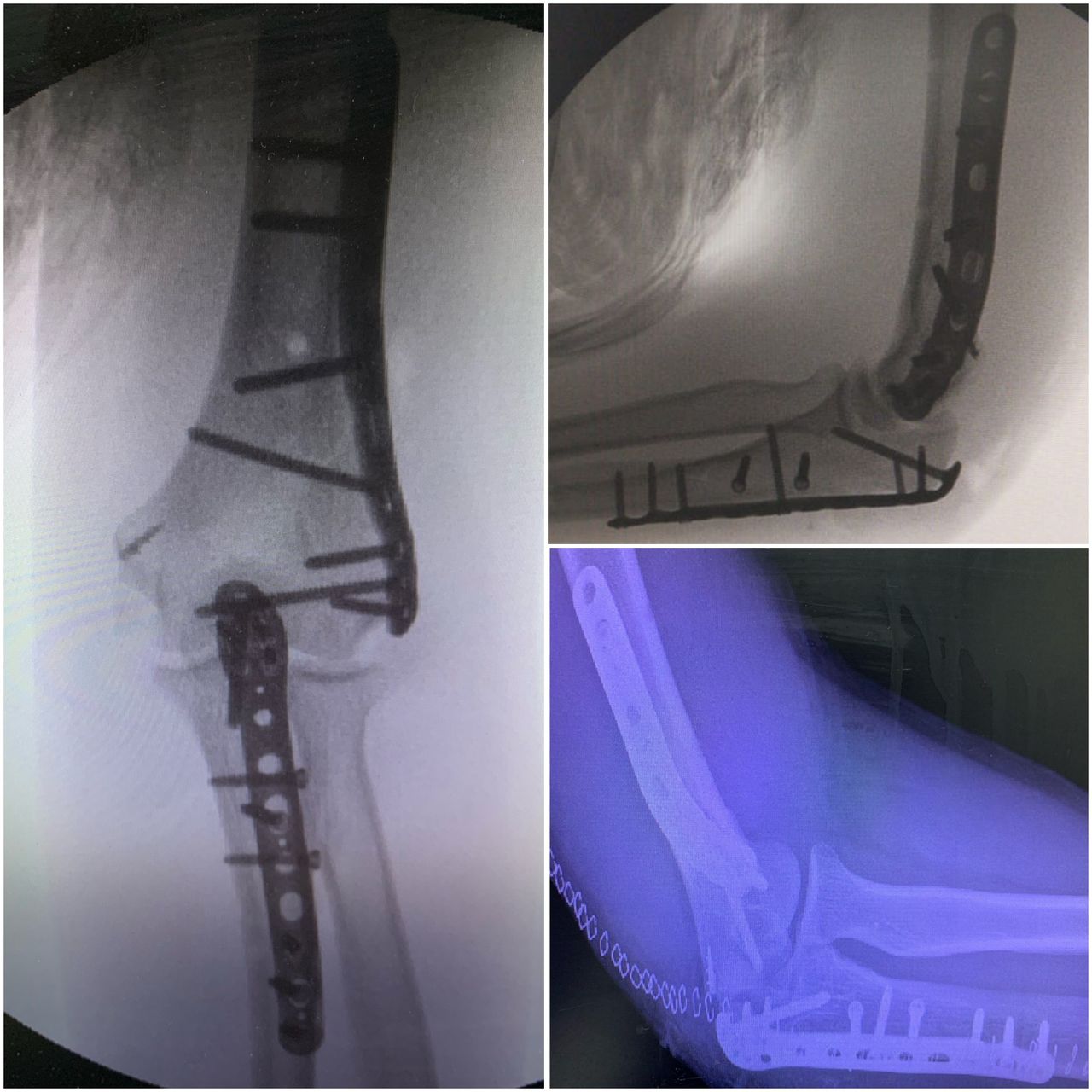 Carlos Moreno Castillo-16