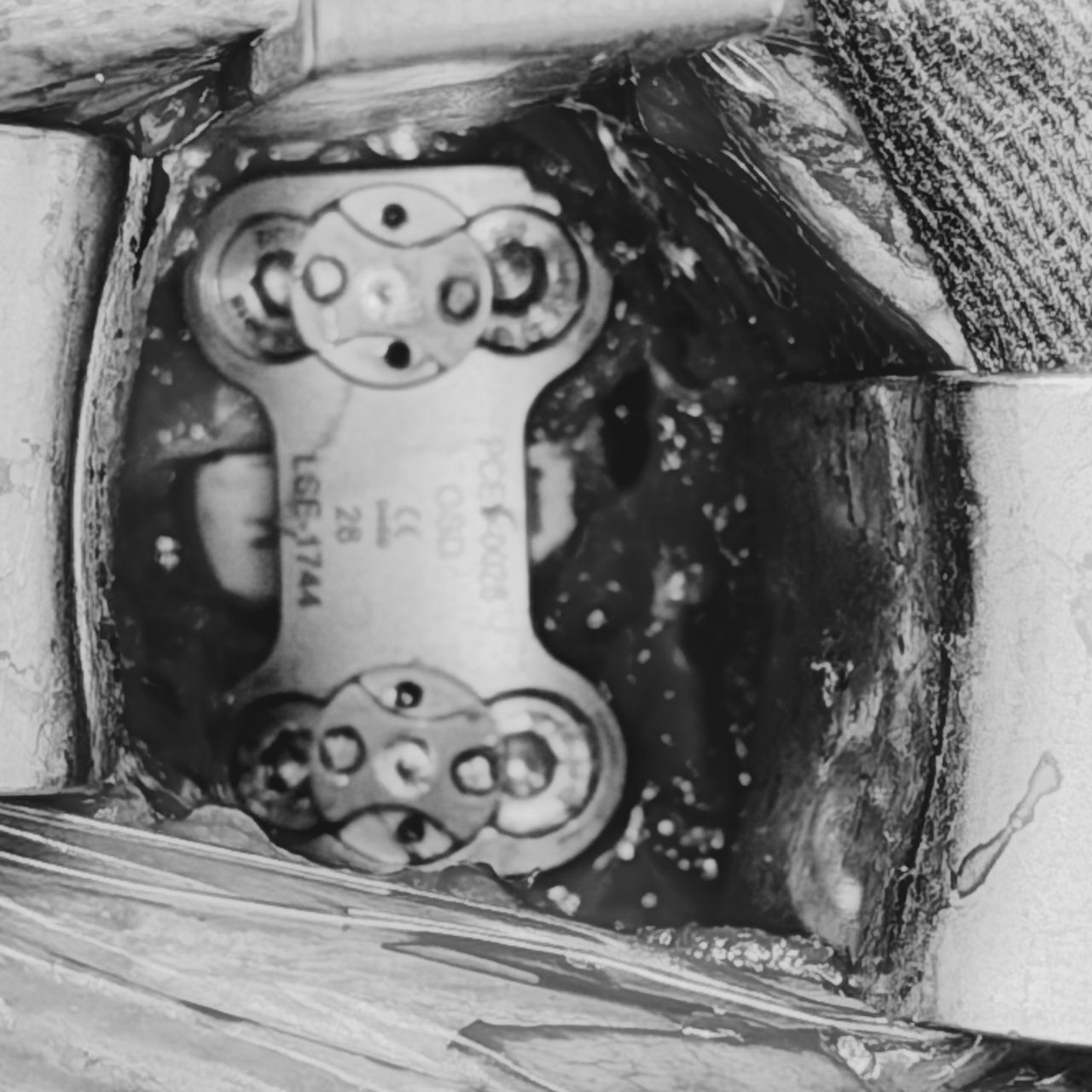 David Tafur Muñoz-2438