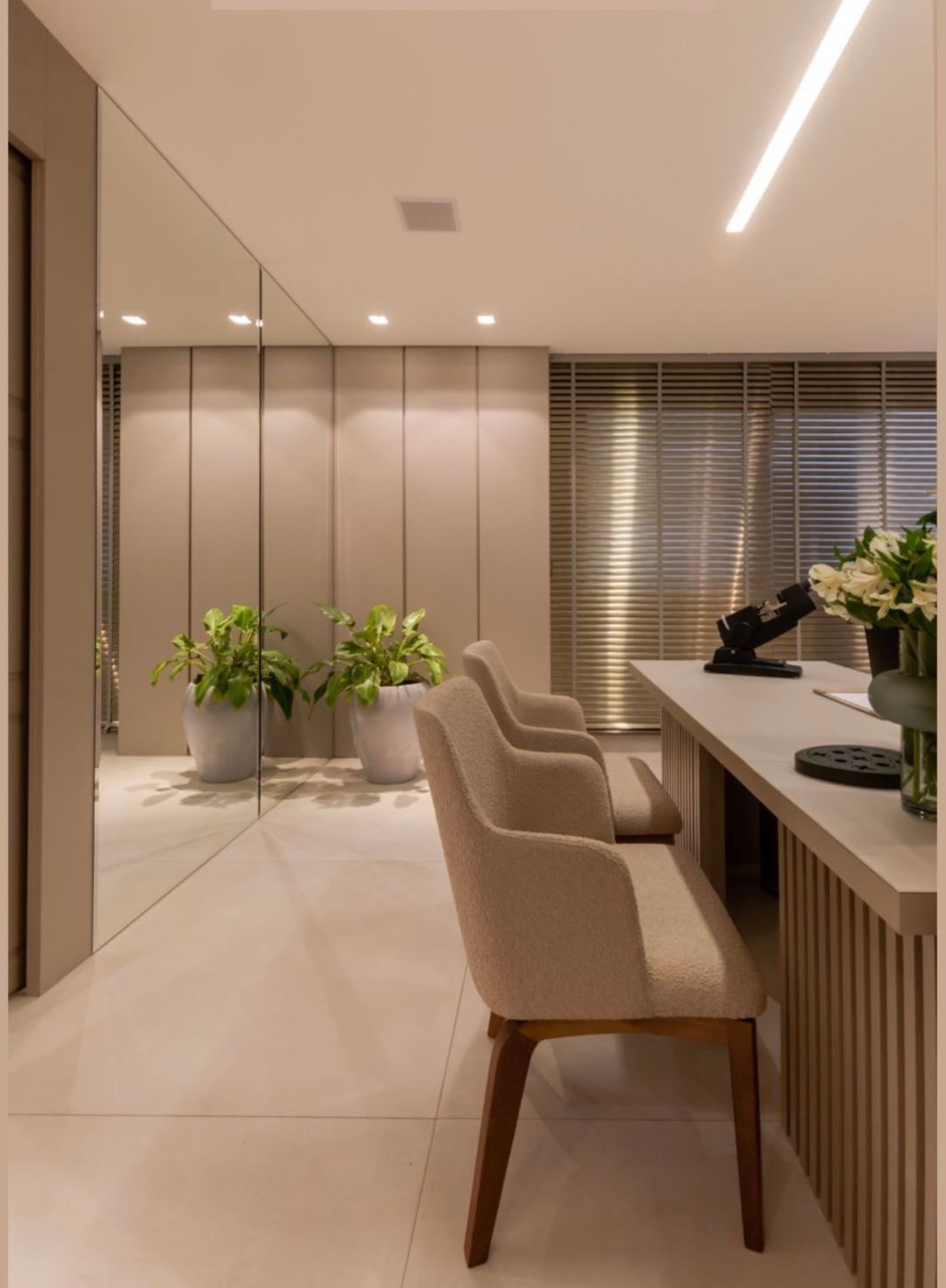 Braulio Torres Cruz Junior-1