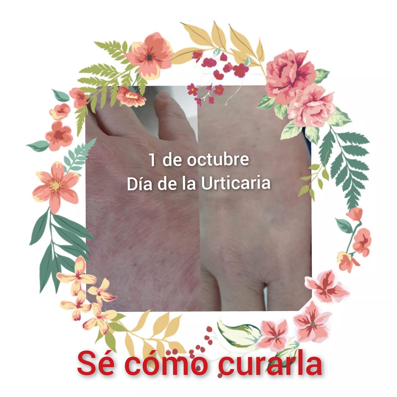 Alejandra Meijide-20