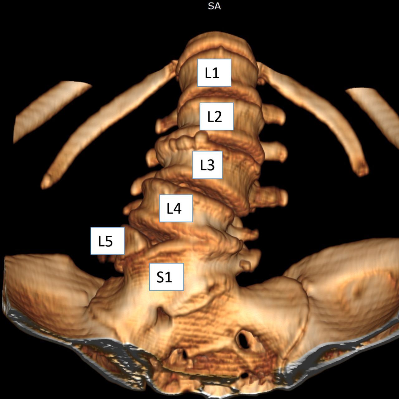 David Tafur Muñoz-1180