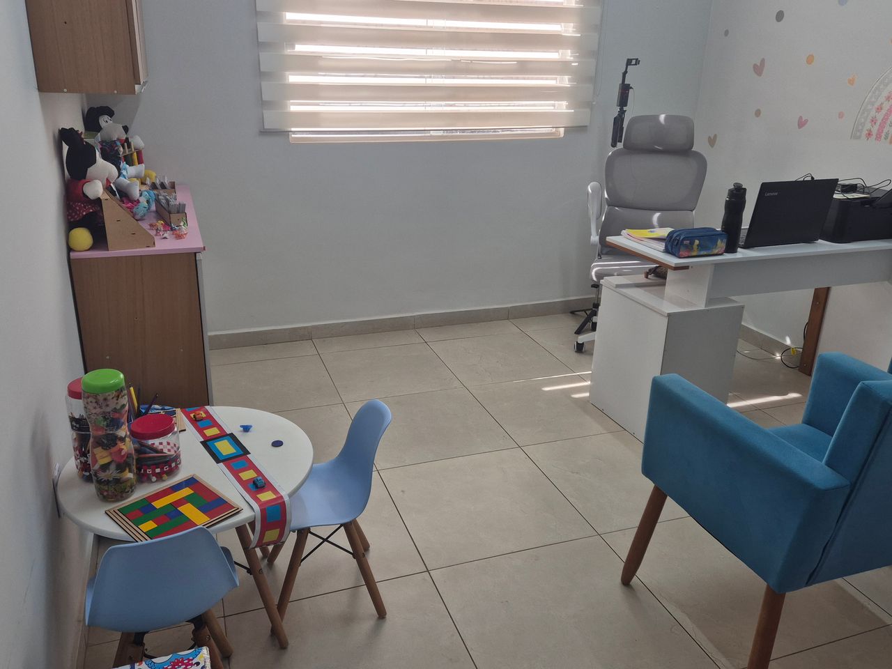 Alzira Ribeiro-7
