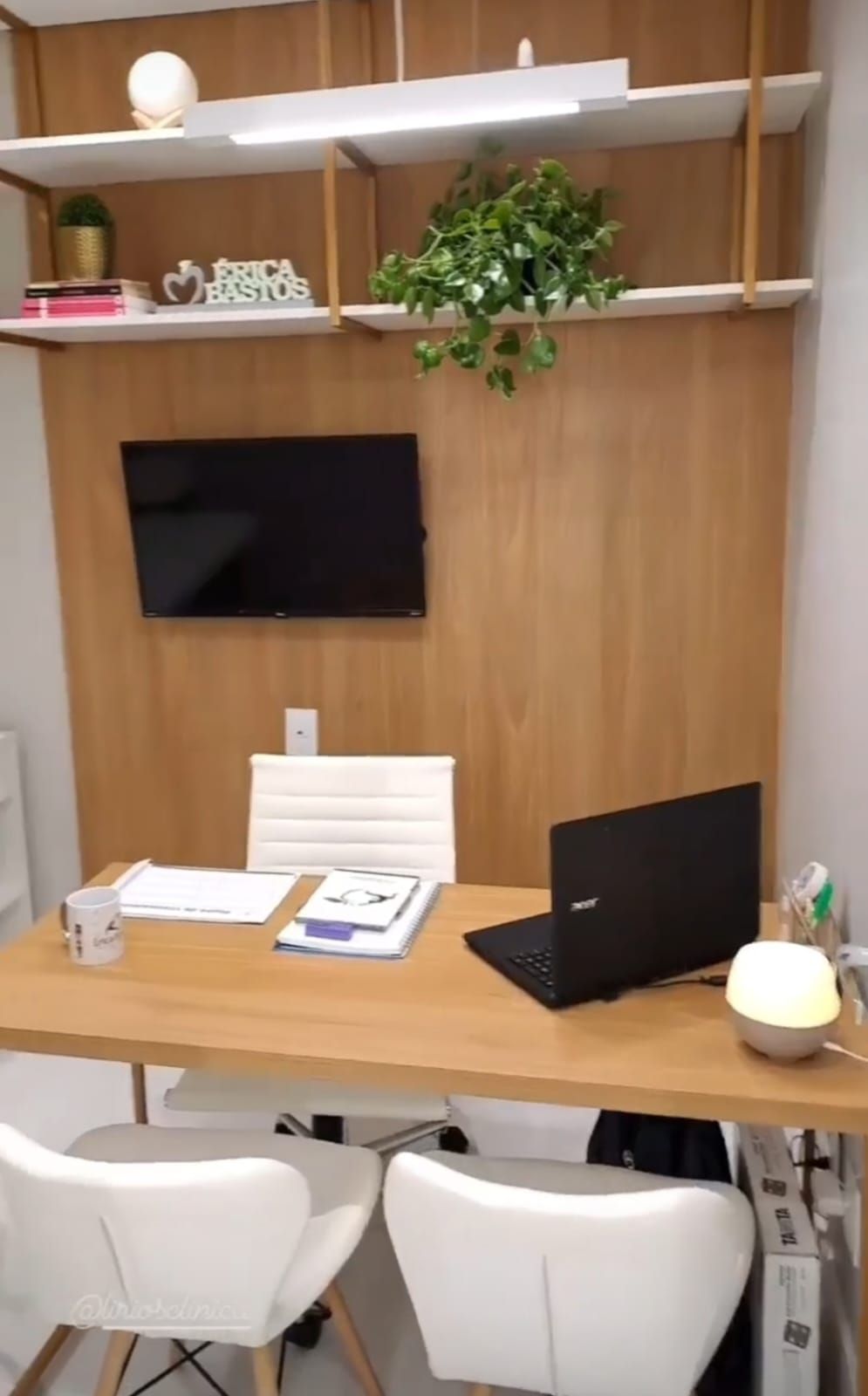 Érica Bastos Queiroz-1