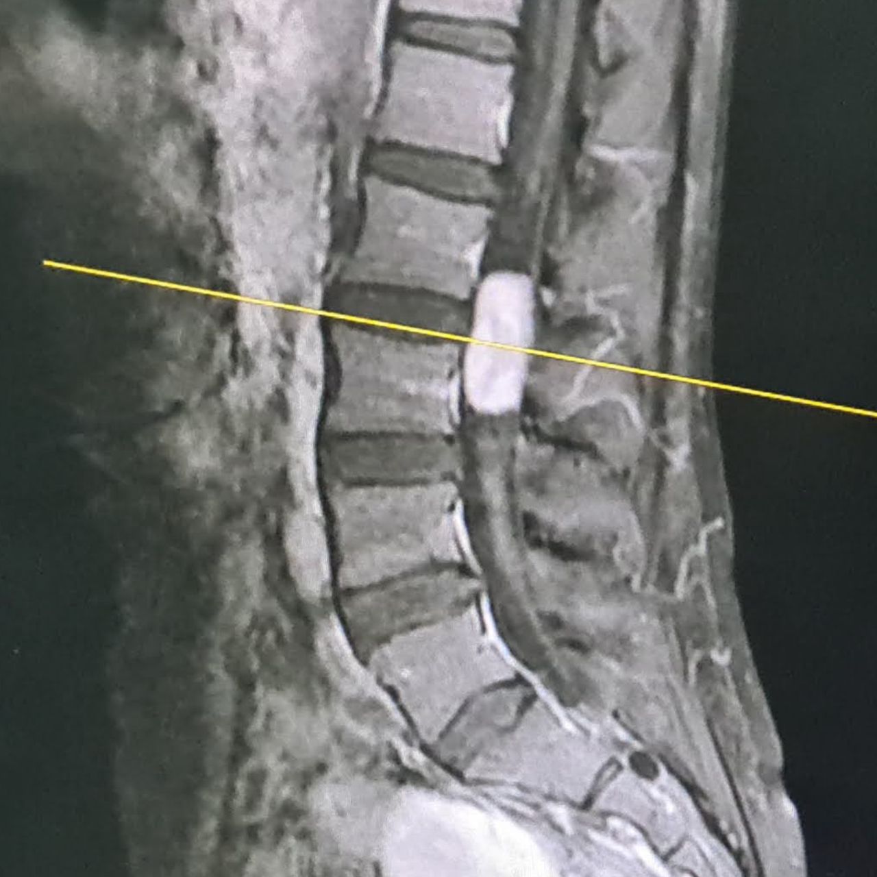 David Tafur Muñoz-1308
