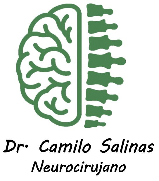 Camilo Salinas Muñoz-1