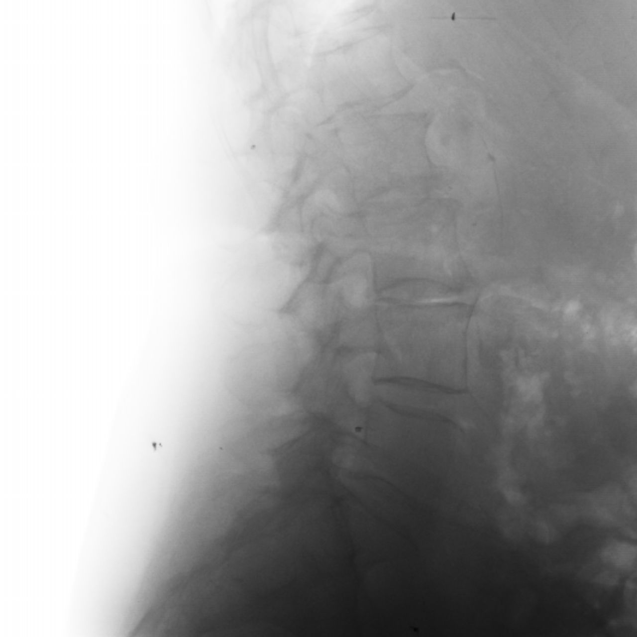 David Tafur Muñoz-2046