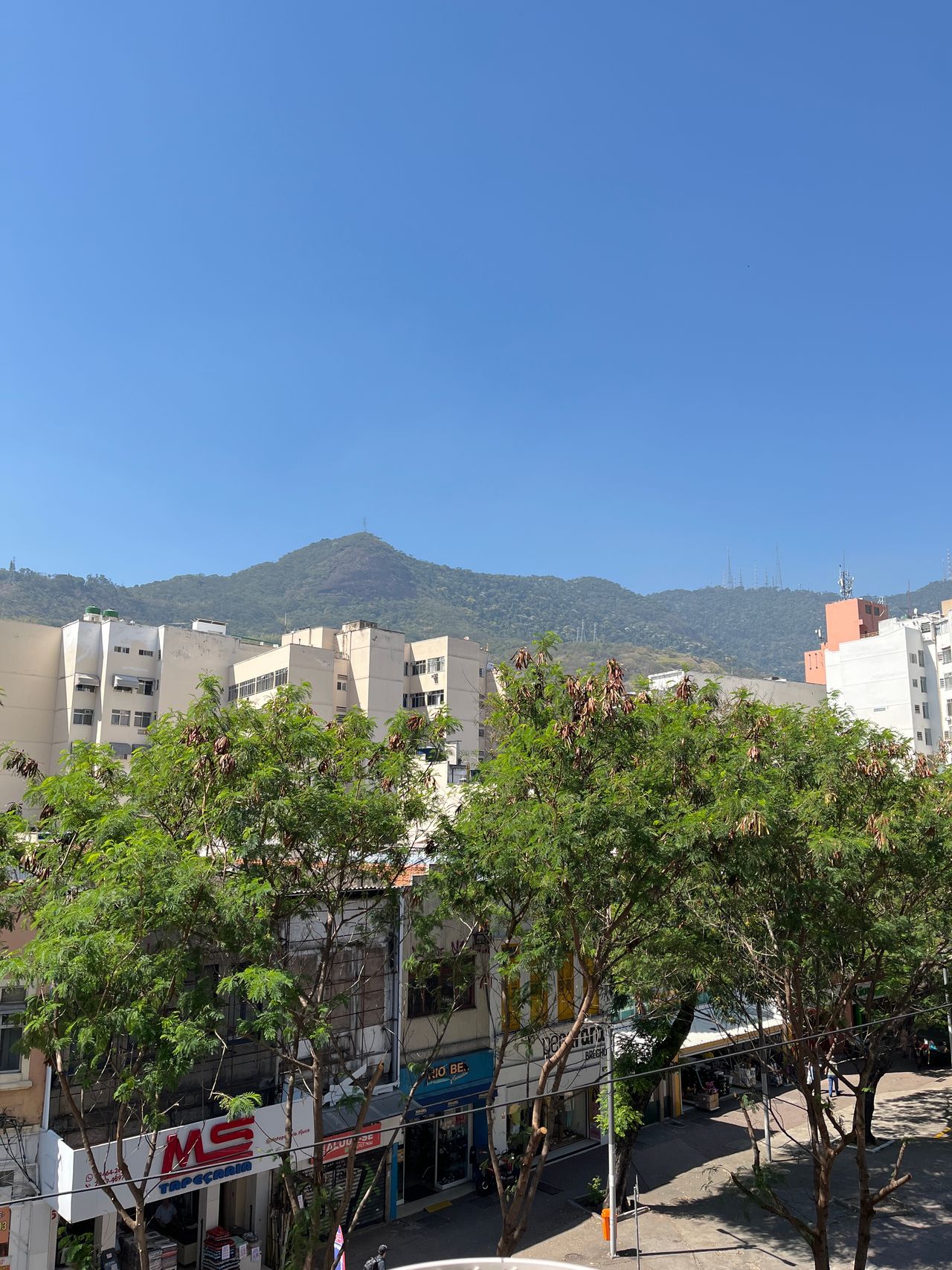 Camilo De Lelis Vieira-11