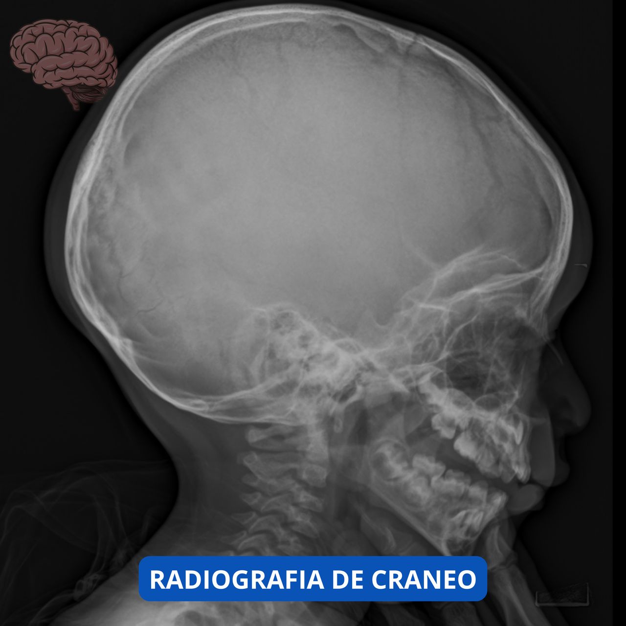 David Tafur Muñoz-1533