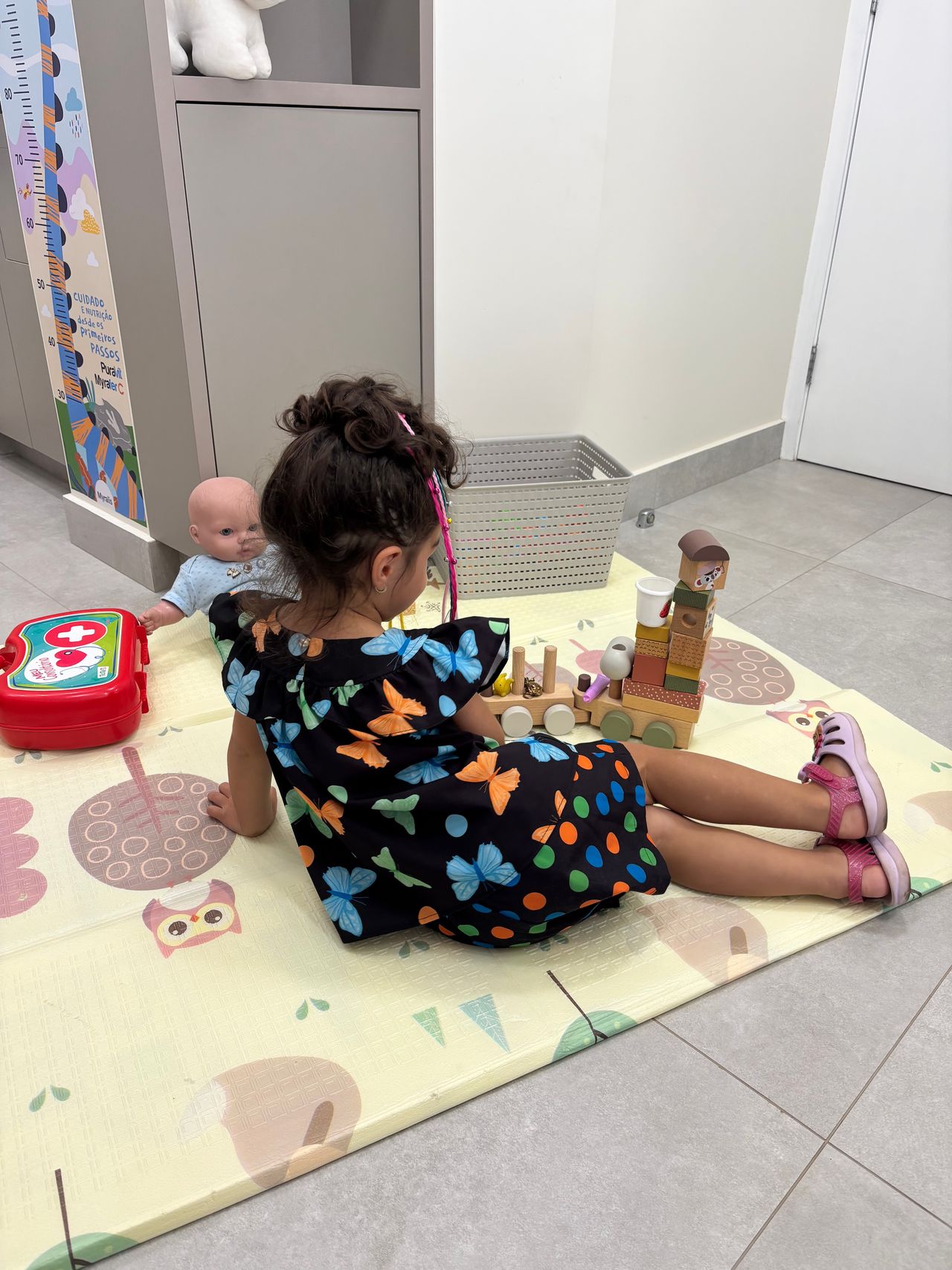 Isabella Brant De Moraes Palmeirao Alvarenga .-11