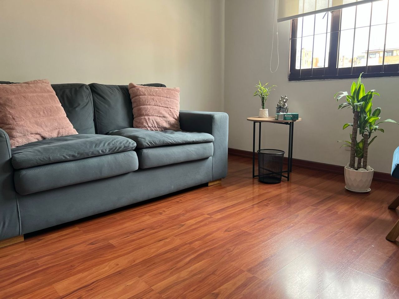 Ingrid Lorena Molano Acosta-5