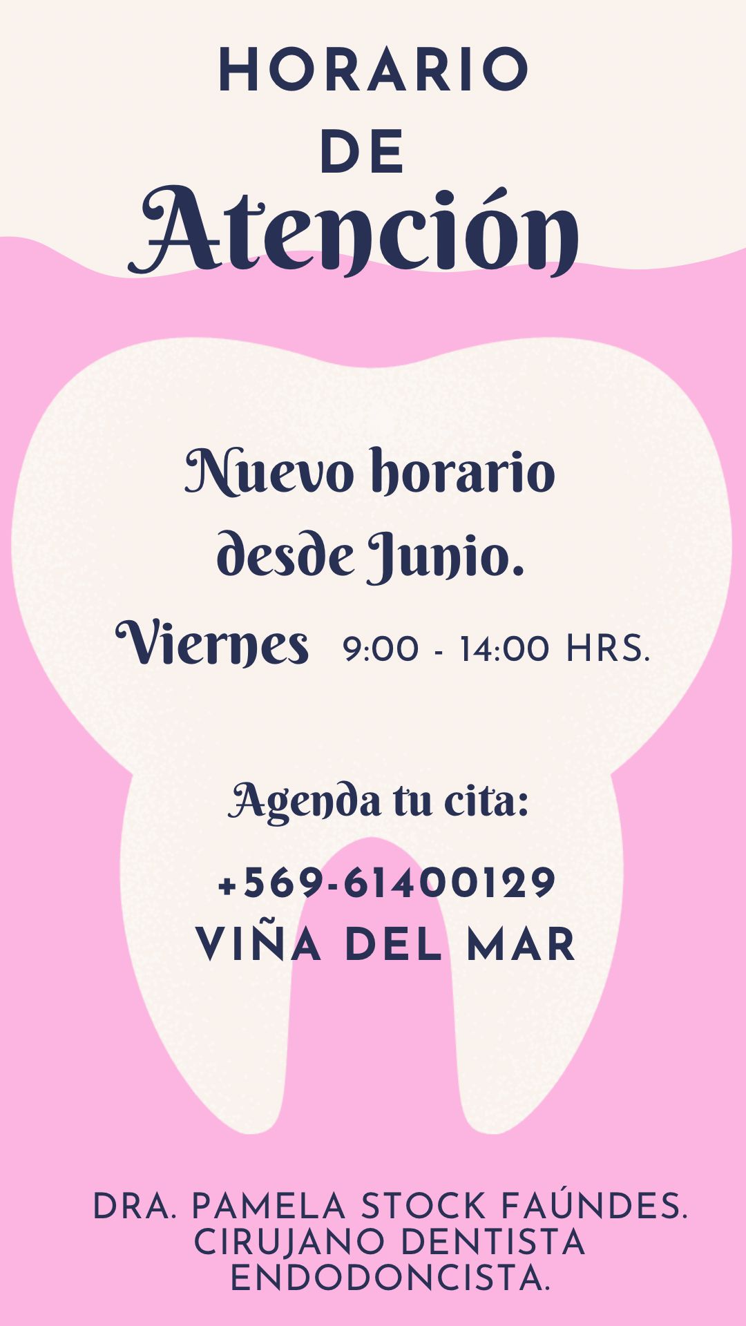 Pamela Andrea Stock Faúndes-4