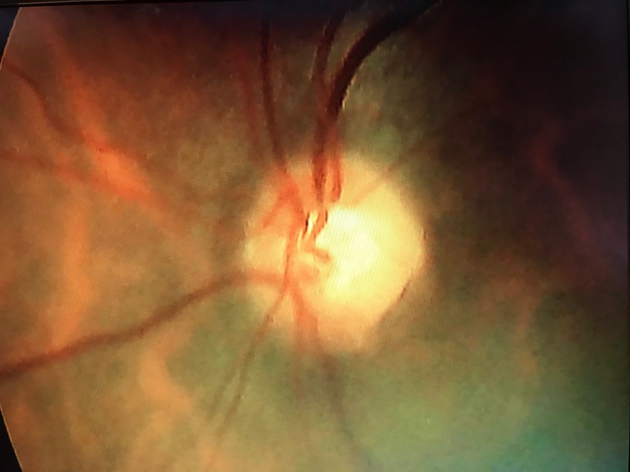 Daniela Erthal Righi Vieira-3