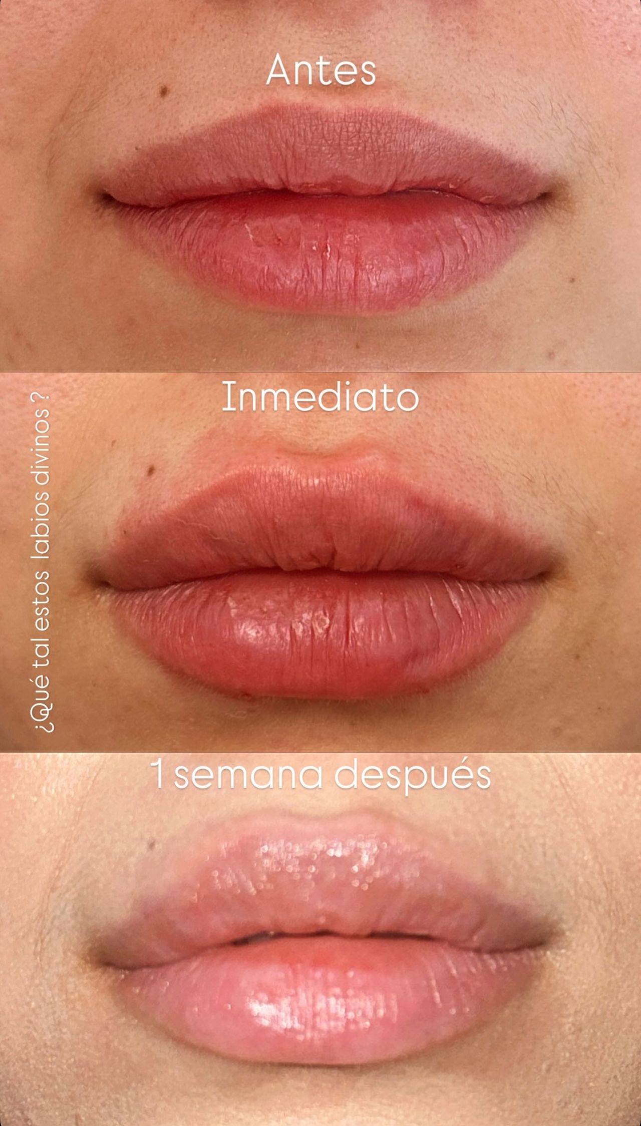 Susana Margarita Sierra Molina-6