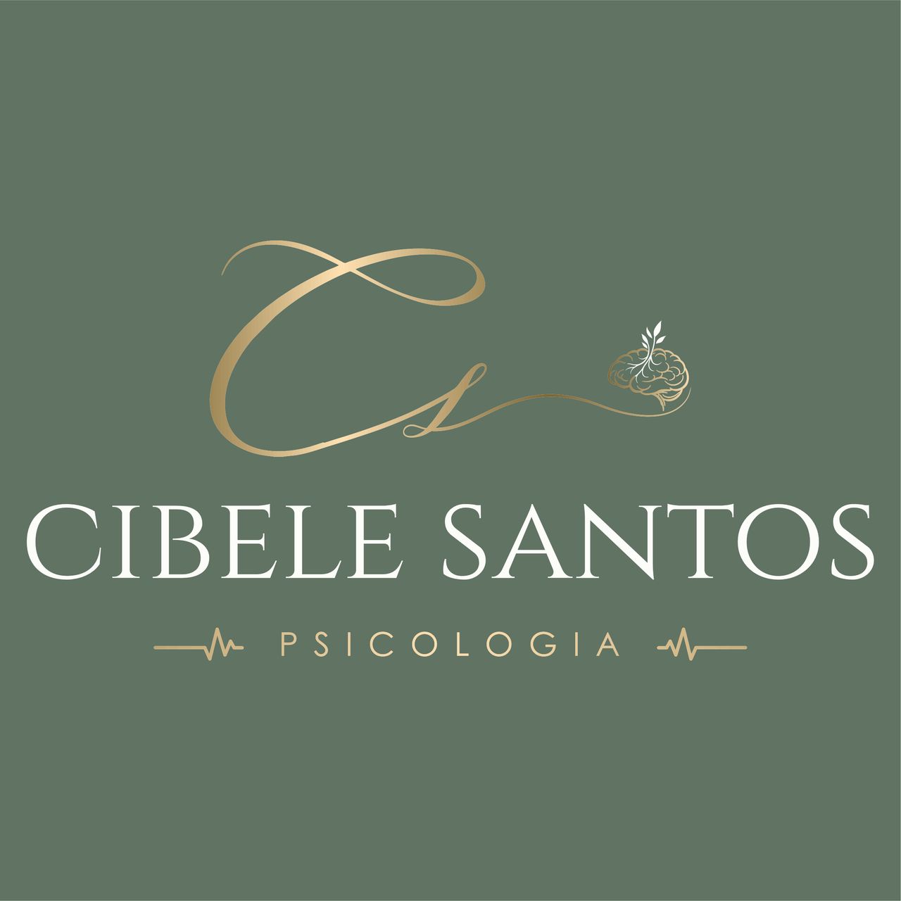 Cibele  De Oliveira Santos -0