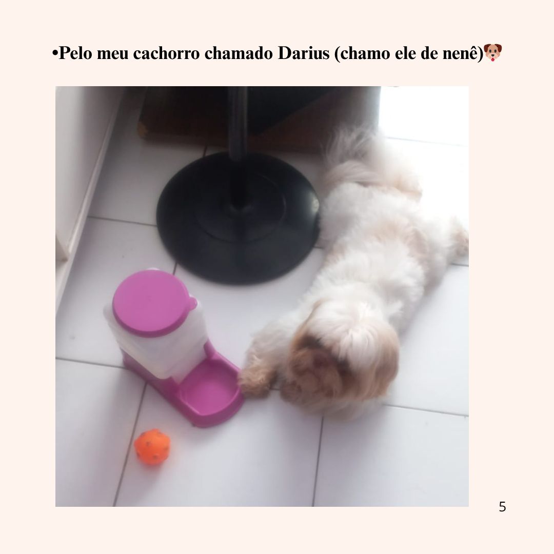 Rafaela De Arruda Custódio-33