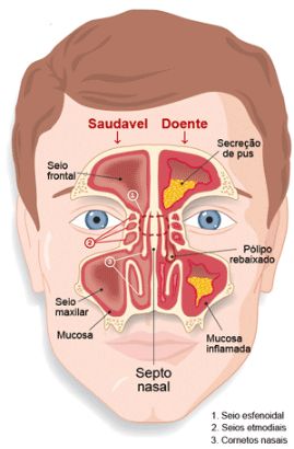 Antonio Carlos Biel-25