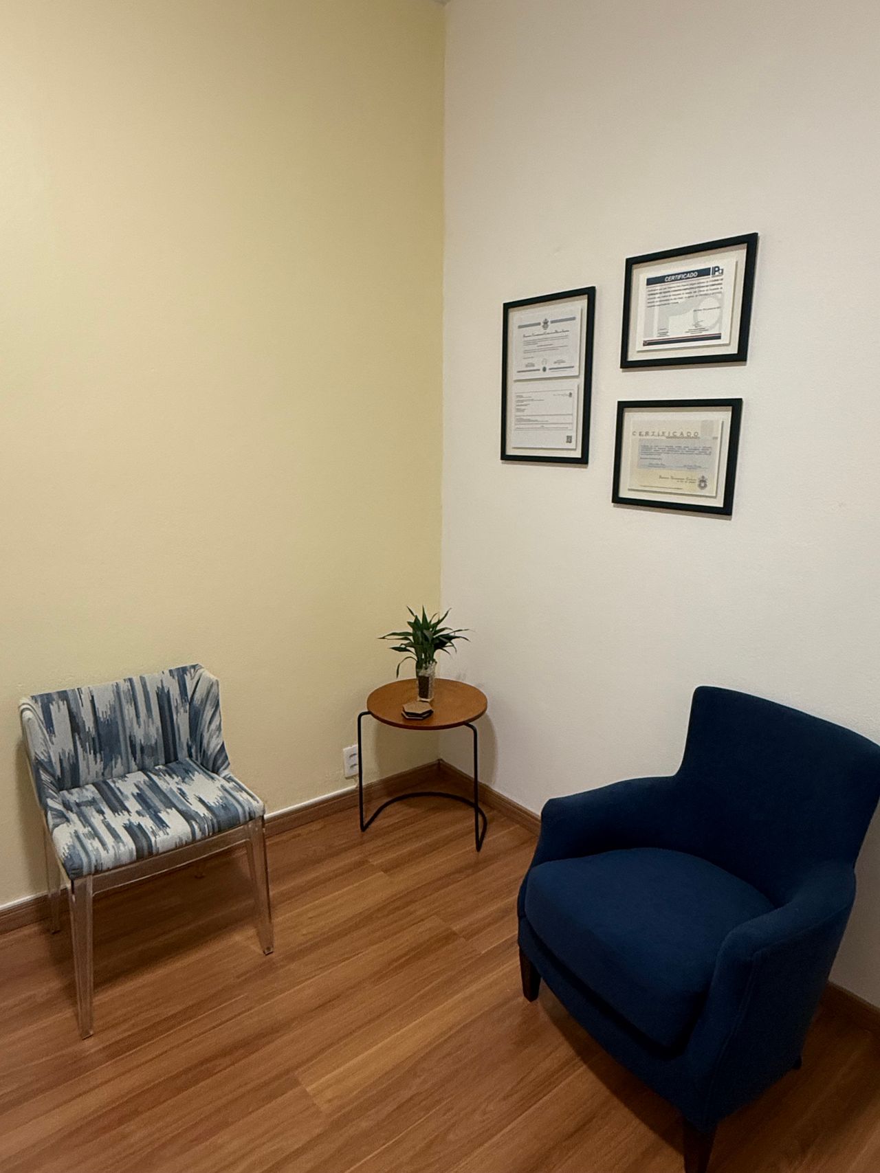 Lara Palacios Alegria-2