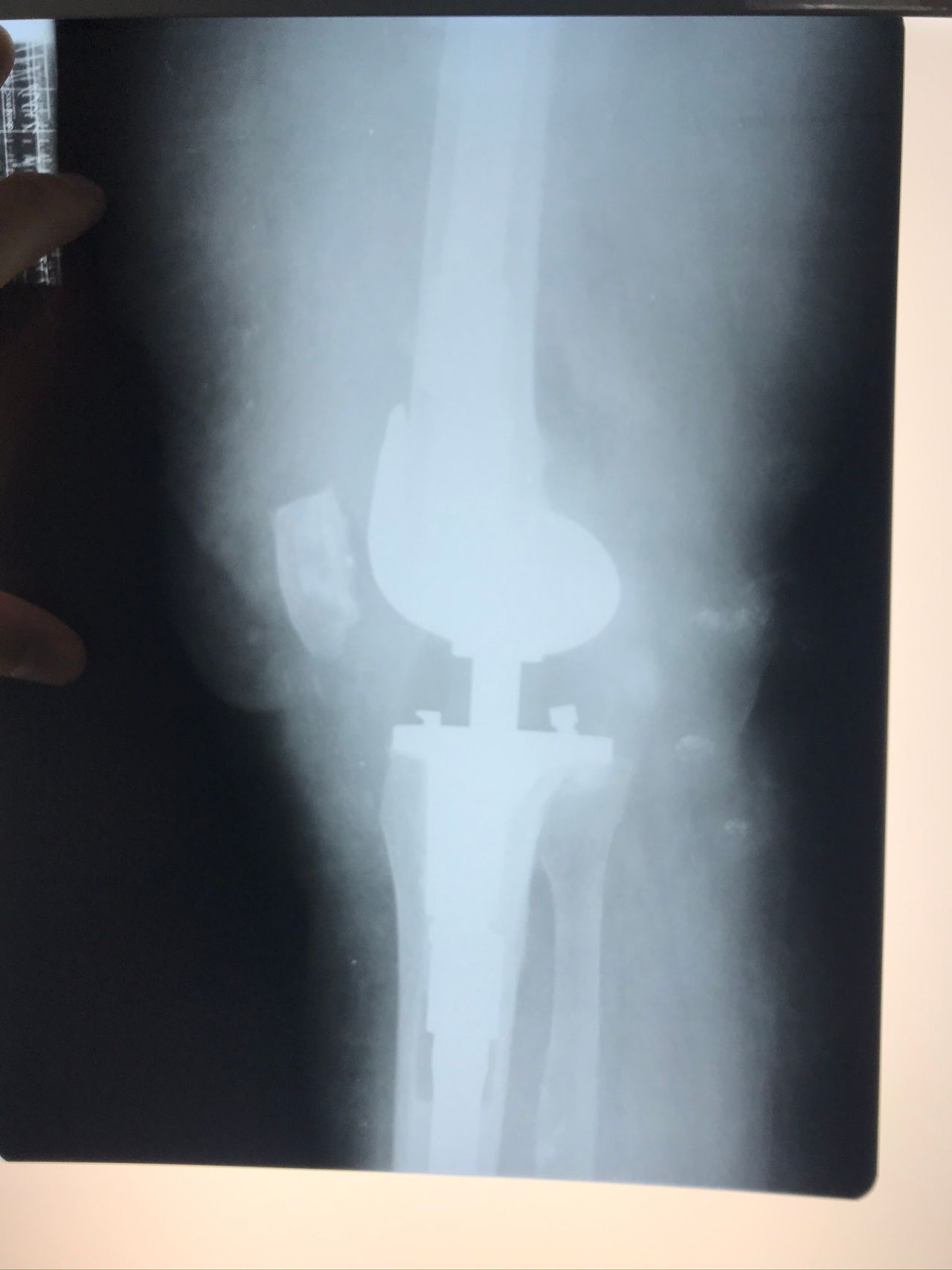 Eduardo Ramalho De Moraes-6