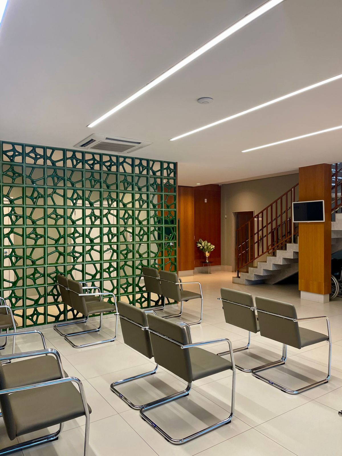 Flavio Viana Aleixo-2