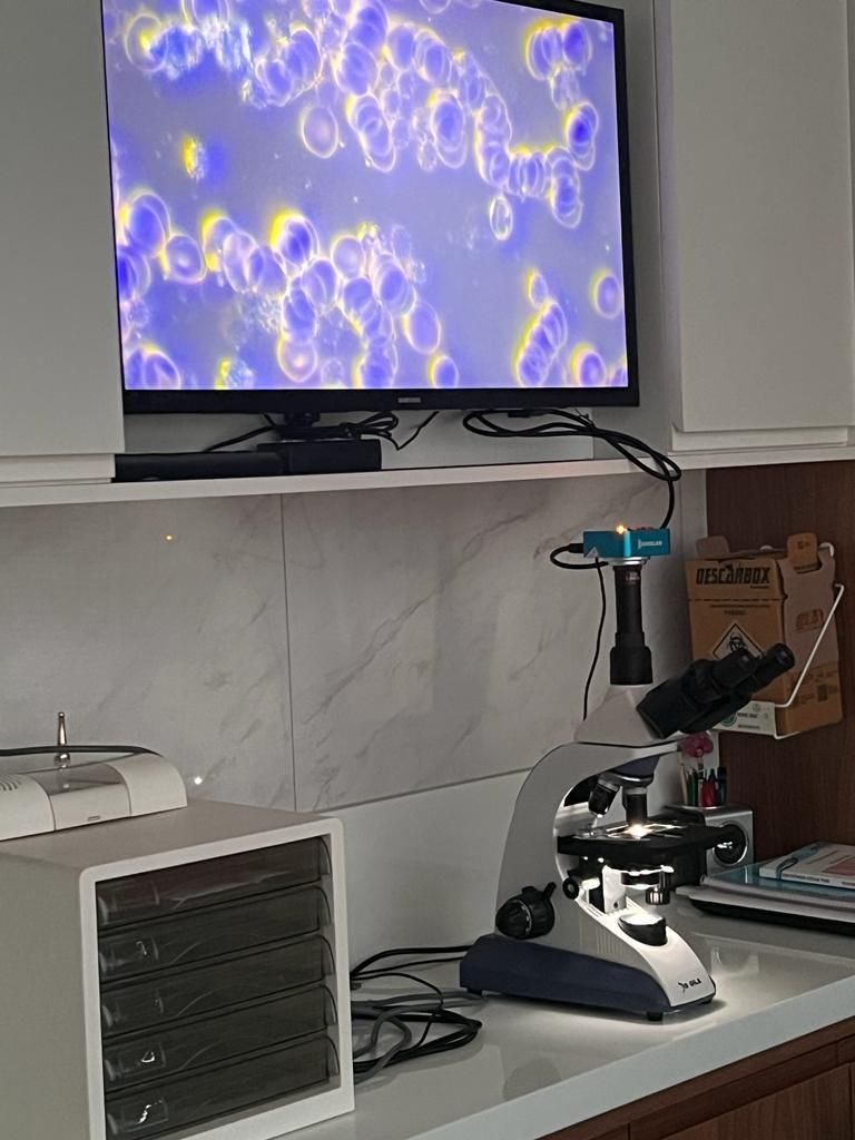 Andréa Lavatori Fagundes-12