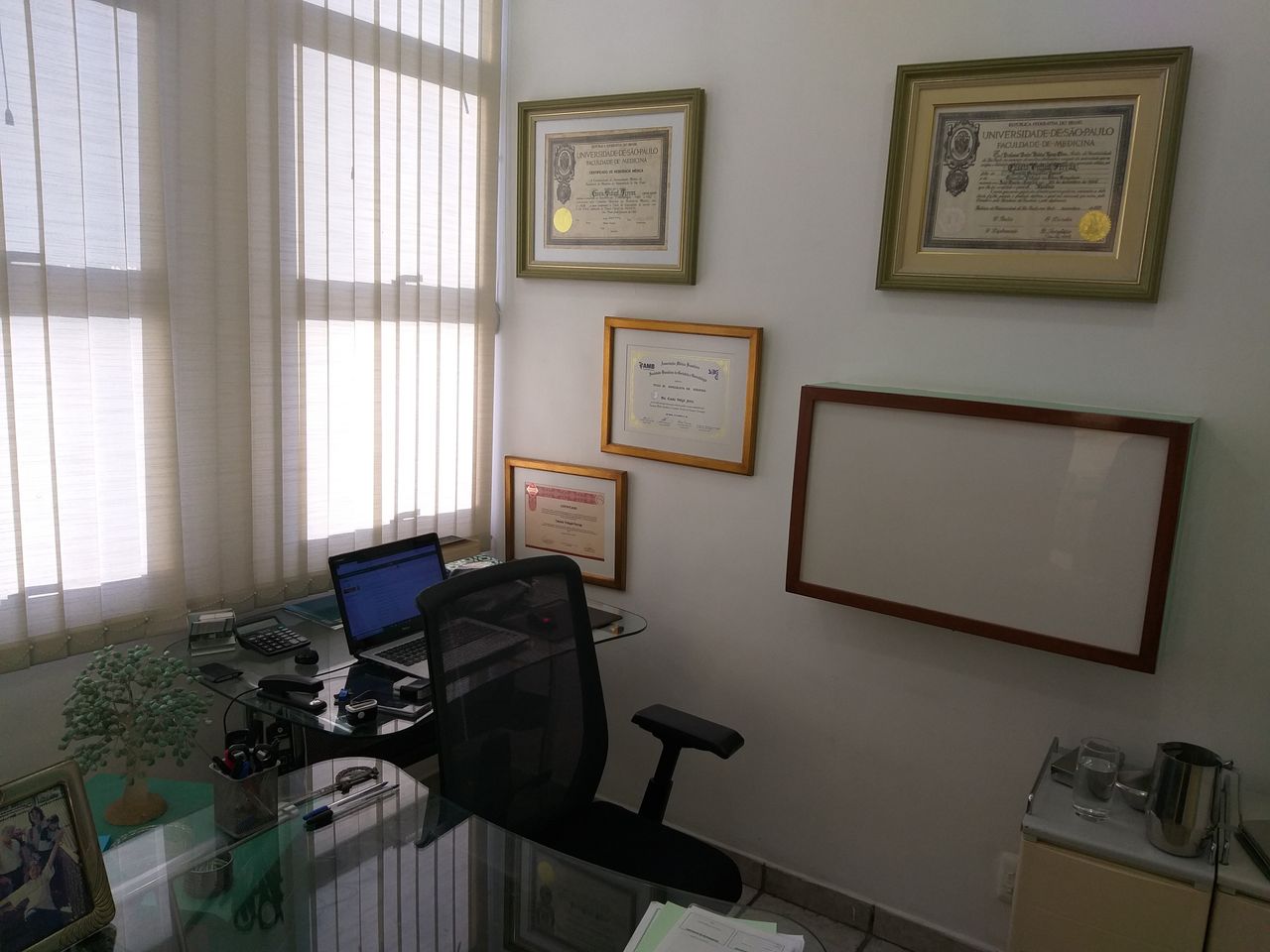 Cassia Vidigal Ferraz-4