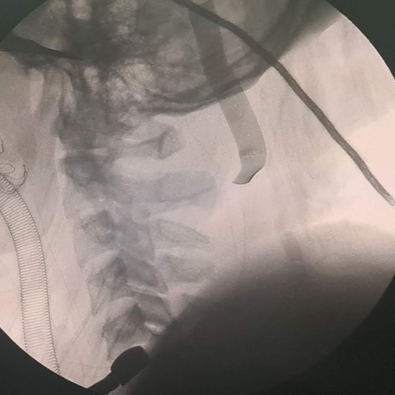 David Tafur Muñoz-1465