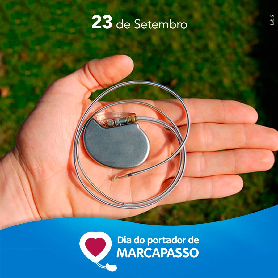 Frederico Bartolazzi-13