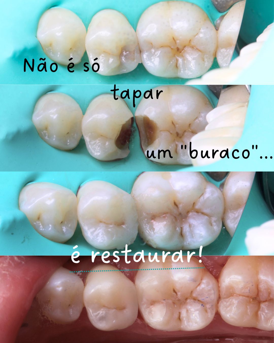 Francine Lauermann-4