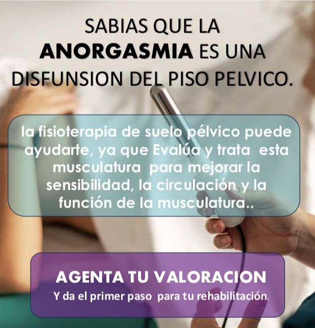 Claudia Ximena Paredes Perea-84