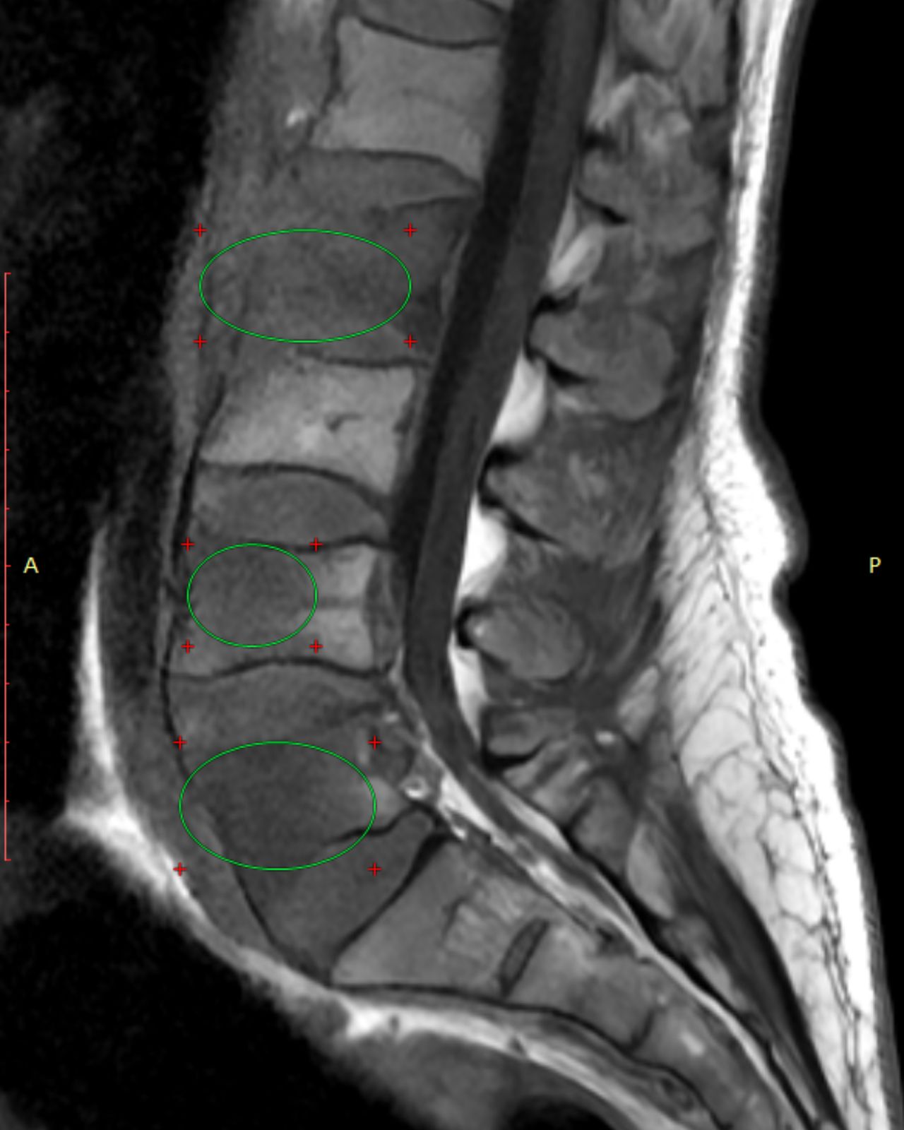 David Tafur Muñoz-2116