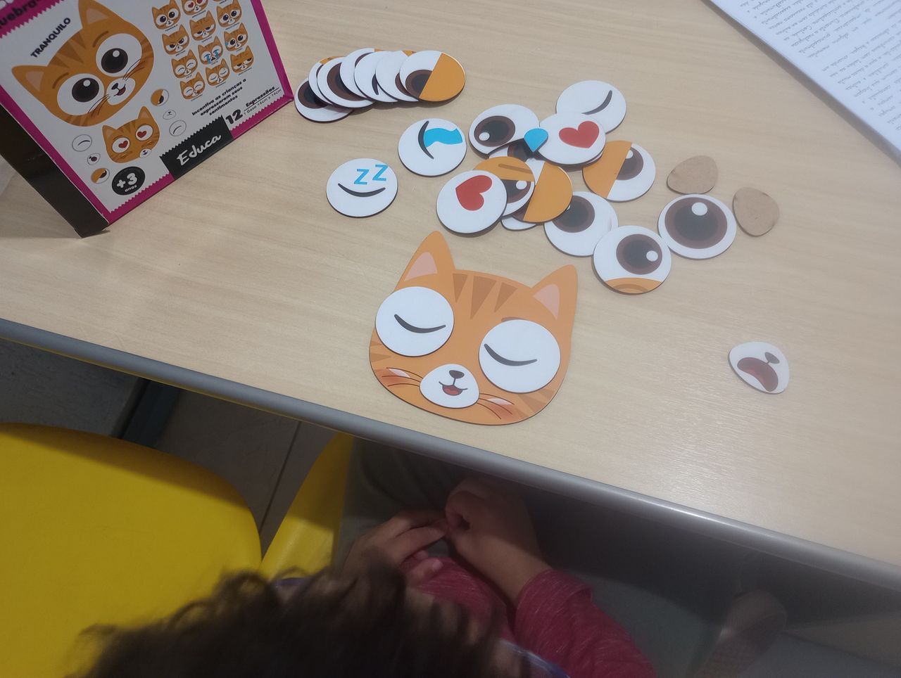 Fabiane Oliveira Bonelli Rezende-4